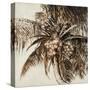 Coconut Palm I-Patricia Pinto-Stretched Canvas