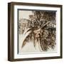 Coconut Palm I-Patricia Pinto-Framed Art Print