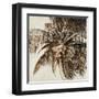 Coconut Palm I-Patricia Pinto-Framed Art Print