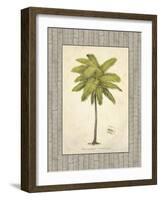 Coconut Palm Illustration-Arnie Fisk-Framed Art Print