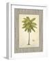 Coconut Palm Illustration-Arnie Fisk-Framed Art Print