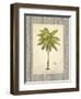 Coconut Palm Illustration-Arnie Fisk-Framed Art Print