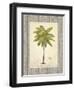 Coconut Palm Illustration-Arnie Fisk-Framed Art Print