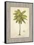 Coconut Palm Illustration-Arnie Fisk-Framed Stretched Canvas