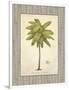 Coconut Palm Illustration-Arnie Fisk-Framed Art Print