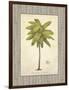 Coconut Palm Illustration-Arnie Fisk-Framed Art Print