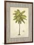 Coconut Palm Illustration-Arnie Fisk-Framed Art Print