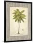 Coconut Palm Illustration-Arnie Fisk-Framed Art Print