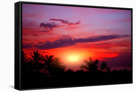 Coconut Palm on Sand Beach in Tropic on Sunset. Thailand-Krivosheev Vitaly-Framed Stretched Canvas