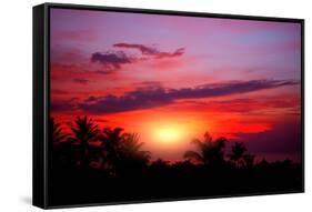 Coconut Palm on Sand Beach in Tropic on Sunset. Thailand-Krivosheev Vitaly-Framed Stretched Canvas