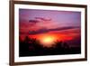 Coconut Palm on Sand Beach in Tropic on Sunset. Thailand-Krivosheev Vitaly-Framed Photographic Print