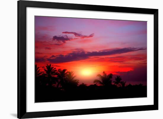 Coconut Palm on Sand Beach in Tropic on Sunset. Thailand-Krivosheev Vitaly-Framed Photographic Print