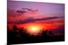 Coconut Palm on Sand Beach in Tropic on Sunset. Thailand-Krivosheev Vitaly-Mounted Photographic Print