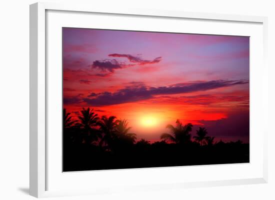 Coconut Palm on Sand Beach in Tropic on Sunset. Thailand-Krivosheev Vitaly-Framed Photographic Print