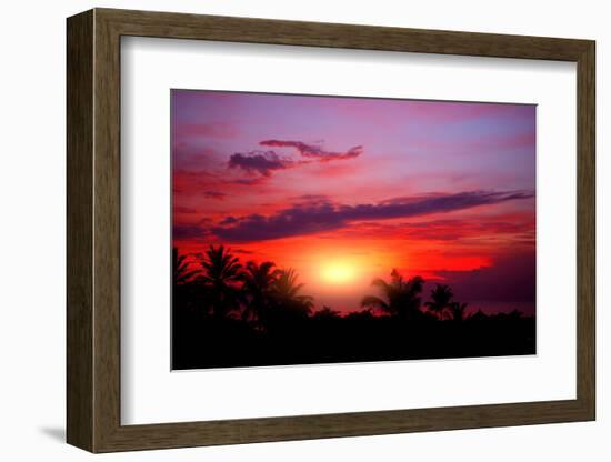 Coconut Palm on Sand Beach in Tropic on Sunset. Thailand-Krivosheev Vitaly-Framed Photographic Print