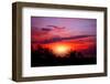 Coconut Palm on Sand Beach in Tropic on Sunset. Thailand-Krivosheev Vitaly-Framed Photographic Print