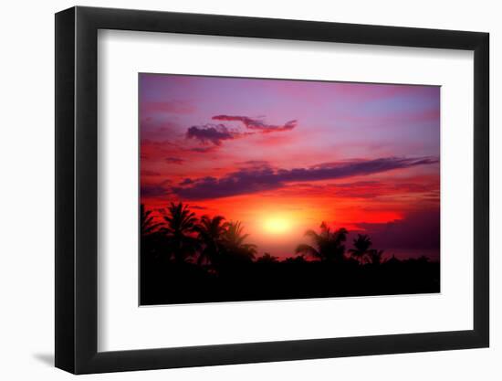 Coconut Palm on Sand Beach in Tropic on Sunset. Thailand-Krivosheev Vitaly-Framed Photographic Print