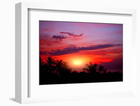 Coconut Palm on Sand Beach in Tropic on Sunset. Thailand-Krivosheev Vitaly-Framed Photographic Print