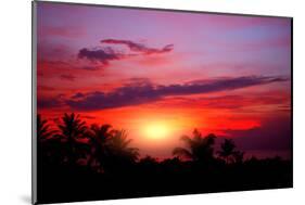 Coconut Palm on Sand Beach in Tropic on Sunset. Thailand-Krivosheev Vitaly-Mounted Photographic Print