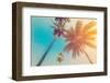 Coconut Palm Tree with Vintage Effect.-tortoon-Framed Photographic Print