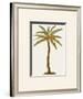 Coconut Palm Tree-Georg Dionysius Ehret-Framed Giclee Print
