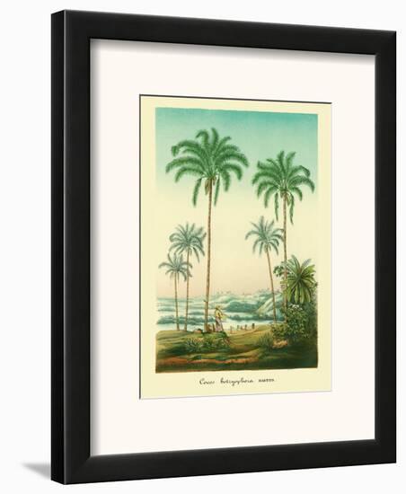 Coconut Palm Trees, 1854-Ch^ Lemaire-Framed Art Print