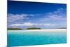 Coconut palm trees line the beach on One Foot Island, Aitutaki, Cook Islands, South Pacific Islands-Michael Nolan-Mounted Photographic Print