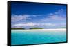 Coconut palm trees line the beach on One Foot Island, Aitutaki, Cook Islands, South Pacific Islands-Michael Nolan-Framed Stretched Canvas