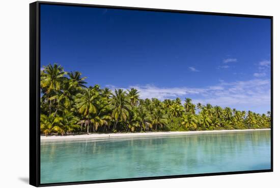 Coconut palm trees line the beach on One Foot Island, Aitutaki, Cook Islands, South Pacific Islands-Michael Nolan-Framed Stretched Canvas