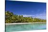 Coconut palm trees line the beach on One Foot Island, Aitutaki, Cook Islands, South Pacific Islands-Michael Nolan-Stretched Canvas