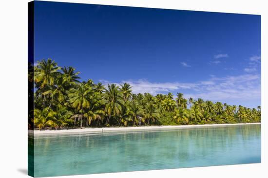 Coconut palm trees line the beach on One Foot Island, Aitutaki, Cook Islands, South Pacific Islands-Michael Nolan-Stretched Canvas