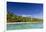 Coconut palm trees line the beach on One Foot Island, Aitutaki, Cook Islands, South Pacific Islands-Michael Nolan-Framed Photographic Print