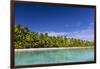 Coconut palm trees line the beach on One Foot Island, Aitutaki, Cook Islands, South Pacific Islands-Michael Nolan-Framed Photographic Print