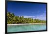 Coconut palm trees line the beach on One Foot Island, Aitutaki, Cook Islands, South Pacific Islands-Michael Nolan-Framed Photographic Print