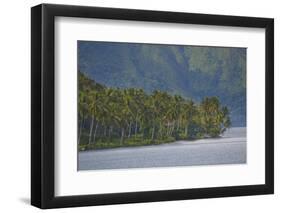 Coconut Palm Trees Lining the Second Largest Lake in Sumatra-Fadil Aziz/Alcibbum Photography-Framed Photographic Print