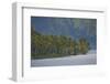 Coconut Palm Trees Lining the Second Largest Lake in Sumatra-Fadil Aziz/Alcibbum Photography-Framed Photographic Print