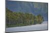 Coconut Palm Trees Lining the Second Largest Lake in Sumatra-Fadil Aziz/Alcibbum Photography-Mounted Photographic Print