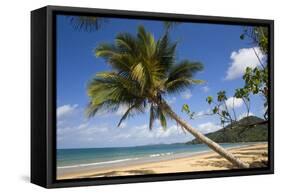 Coconut Palm-null-Framed Stretched Canvas