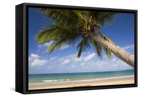 Coconut Palm-null-Framed Stretched Canvas