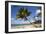 Coconut Palm-null-Framed Photographic Print