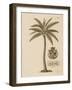 Coconut Palm-Porter Design-Framed Giclee Print