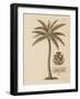 Coconut Palm-Porter Design-Framed Giclee Print