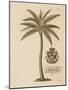 Coconut Palm-Porter Design-Mounted Giclee Print