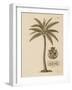 Coconut Palm-Porter Design-Framed Premium Giclee Print