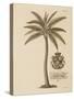 Coconut Palm-Porter Design-Stretched Canvas