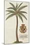 Coconut Palm-Porter Design-Mounted Giclee Print