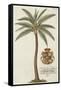 Coconut Palm-Porter Design-Framed Stretched Canvas