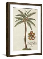 Coconut Palm-Porter Design-Framed Giclee Print