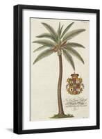 Coconut Palm-Porter Design-Framed Giclee Print