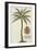 Coconut Palm-Porter Design-Framed Giclee Print